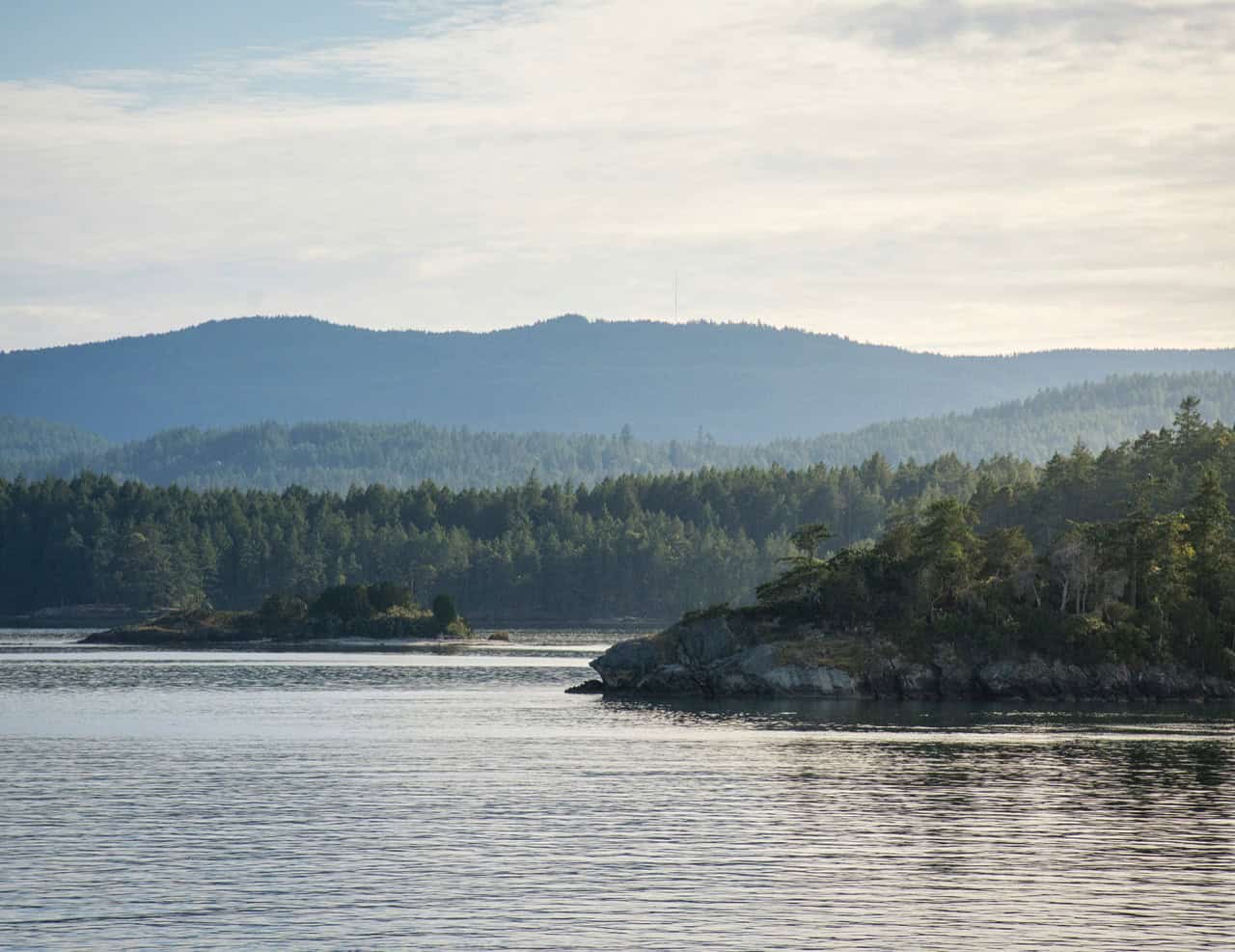Scenic coastal landscape with calm water, rocky shoreline and pine trees under a blue sky.