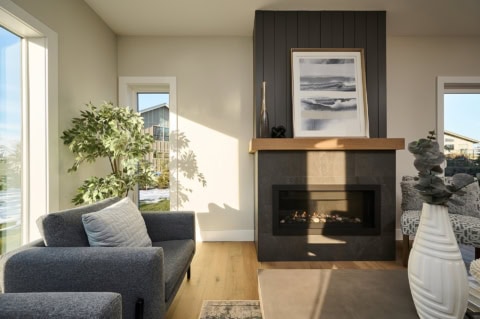 Modern living room with fireplace, gray seating, and natural light in Meadowview home.